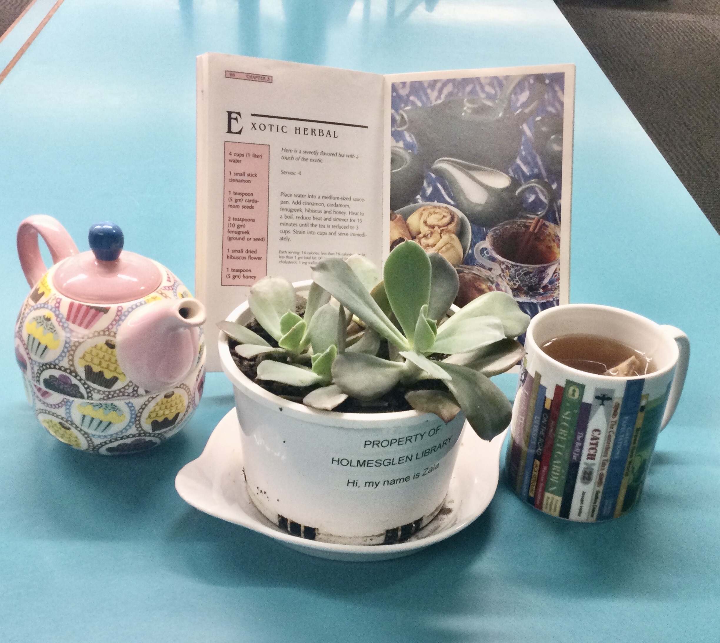 succulent plant in a pot with a cup of tea, a teapot of a book about making exotic tea